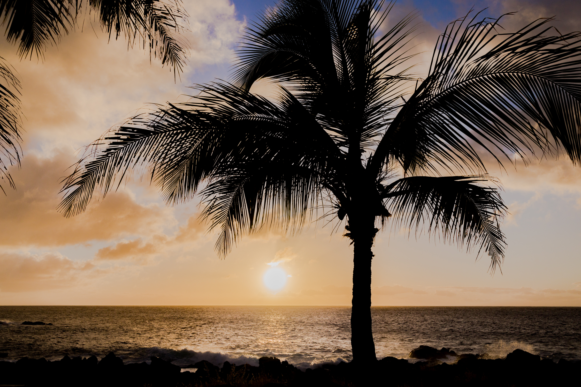 Photography Portfolio Preview